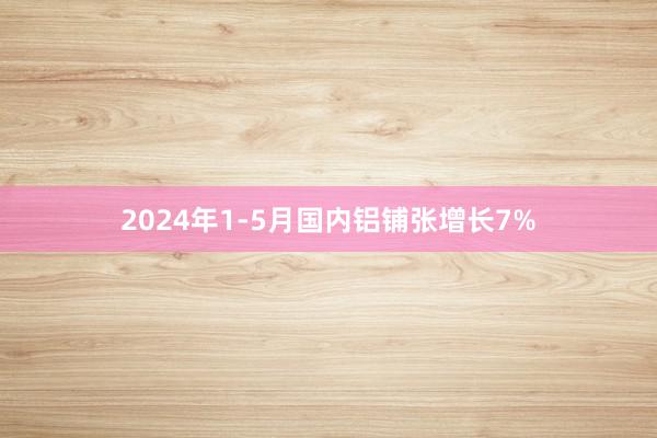 2024年1-5月国内铝铺张增长7%